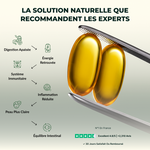 Charger l'image dans la galerie, Complément naturel pour digestion, énergie & immunité